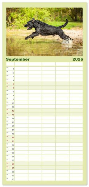 Produktbild: Familienplaner 2026 - Mit dem Riesenschnauzer durch das Jahr mit 5 Spalten (Wandkalender, 21 x 45 cm) CALVENDO
