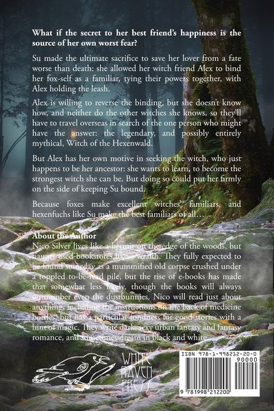 Produktbild: Heir of Witches