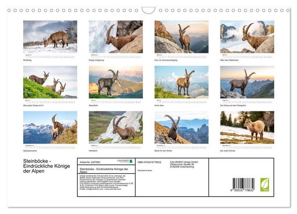 Produktbild: Steinb&ouml;cke - Eindr&uuml;ckliche K&ouml;nige der Alpen (Wandkalender 2027 DIN A3 quer), CALVENDO Monatskalender