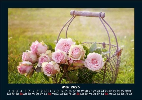 Produktbild: Rosentraum 2025 Fotokalender DIN A5