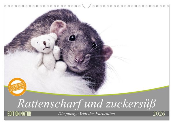 Produktbild: Rattenscharf und zuckers&uuml;&szlig; (Wandkalender 2026 DIN A3 quer), CALVENDO Monatskalender