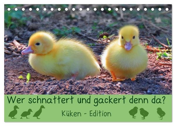Produktbild: Wer schnattert und gackert denn da? - K&uuml;ken-Edition (Tischkalender 2026 DIN A5 quer), CALVENDO Monatskalender