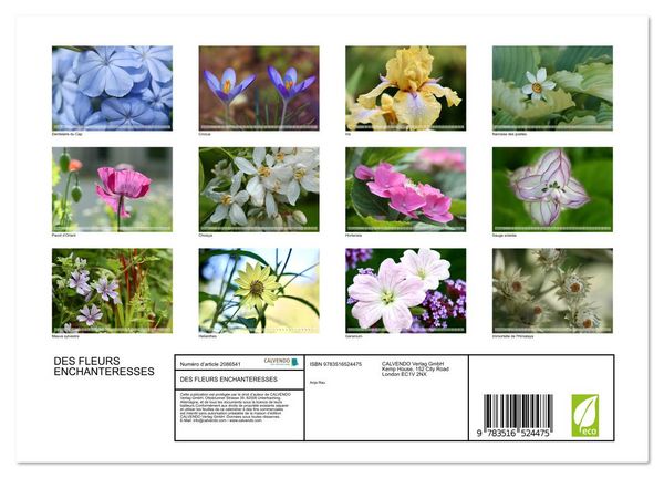 Produktbild: DES FLEURS ENCHANTERESSES (Calendrier mural 2026 DIN A4 vertical), CALVENDO calendrier mensuel