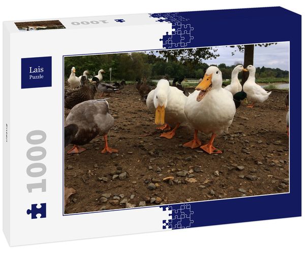 Produktbild: Lais Puzzle Enten 1000 Teile