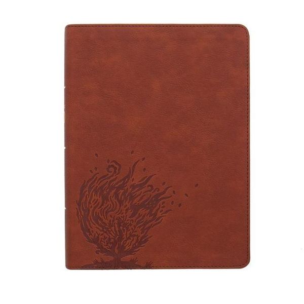 Produktbild: CSB Experiencing God Bible, Burnt Sienna Leathertouch, Indexed