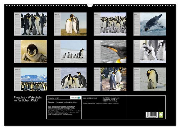 Produktbild: Pinguine - Watscheln im festlichen Kleid (Wandkalender 2026 DIN A2 quer), CALVENDO Monatskalender