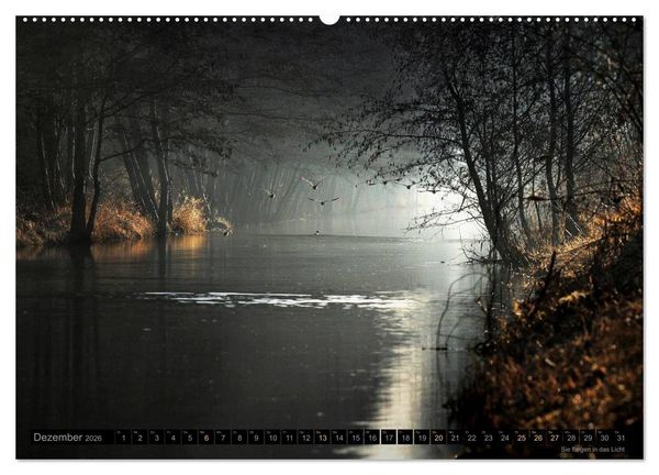 Produktbild: Traumlandschaften 2026 (Wandkalender 2026 DIN A2 quer), CALVENDO Monatskalender
