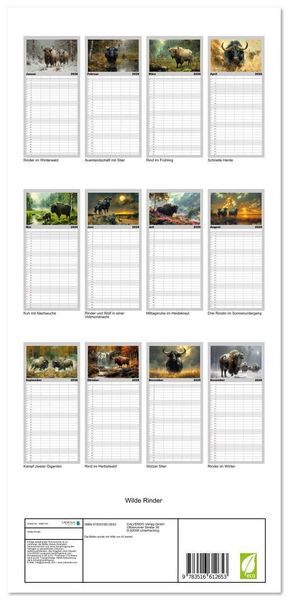 Produktbild: Familienplaner 2026 - Wilde Rinder mit 5 Spalten (Wandkalender, 21 x 45 cm) CALVENDO