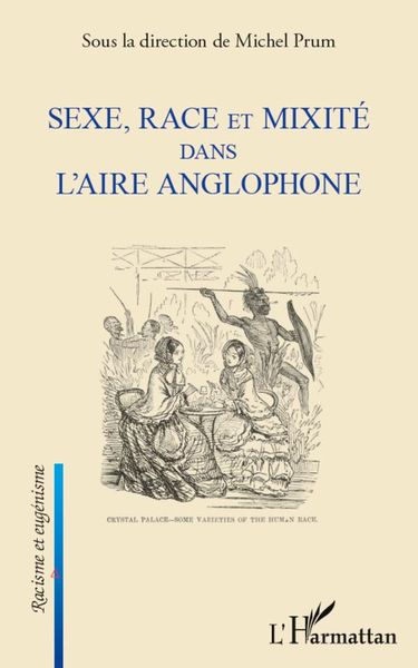 Produktbild: Sexe, race et mixit&eacute; dans l'aire anglophone