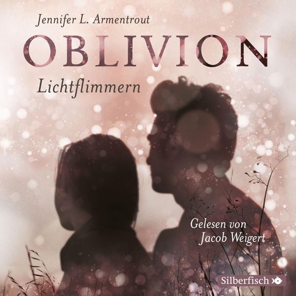 Lichtflimmern / Oblivion Band 2