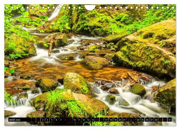 Produktbild: L'&eacute;t&eacute; dans les Vosges (Calendrier mural 2026 DIN A4 vertical), CALVENDO calendrier mensuel