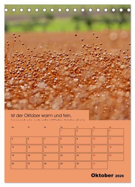 Produktbild: Wetter-Regeln der Bauern (Tischkalender 2026 DIN A5 hoch), CALVENDO Monatskalender