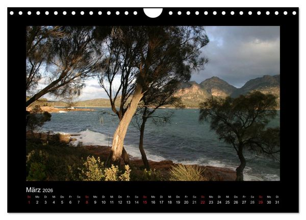 Produktbild: W&auml;lder, fotografiert auf vier Kontinenten (Wandkalender 2026 DIN A4 quer), CALVENDO Monatskalender