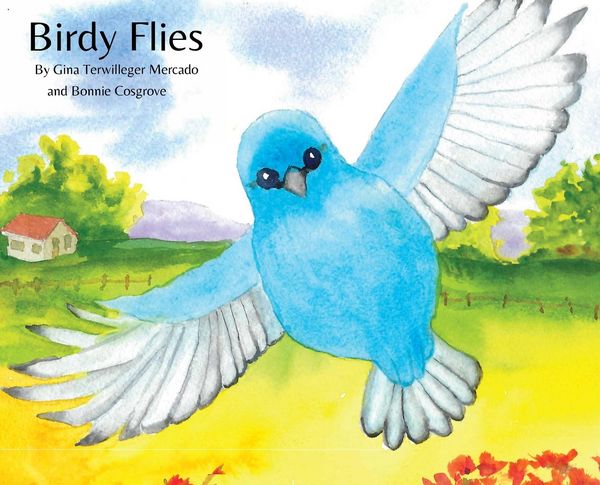 Produktbild: Birdy Flies