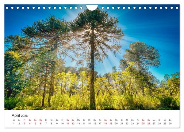Produktbild: Chile - Das langgestreckte Land. (Wandkalender 2026 DIN A4 quer), CALVENDO Monatskalender