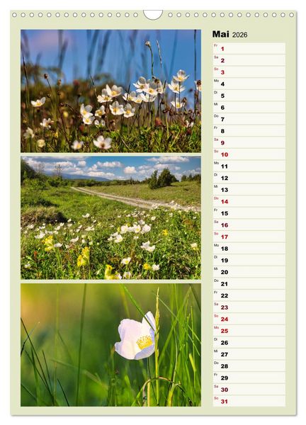 Produktbild: Harmonie der Farben in Landschaft und Natur (Wandkalender 2026 DIN A3 hoch), CALVENDO Monatskalender