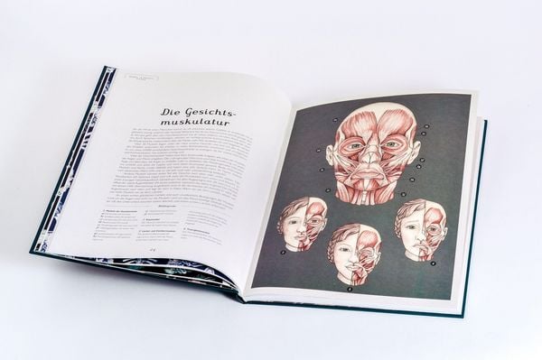 Produktbild: Das Museum des K&ouml;rpers