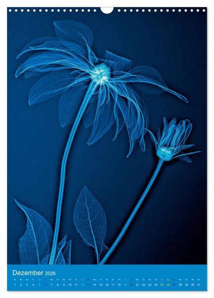 Produktbild: Durchleuchtete Blumenwelt 2026 (Wandkalender 2026 DIN A3 hoch), CALVENDO Monatskalender