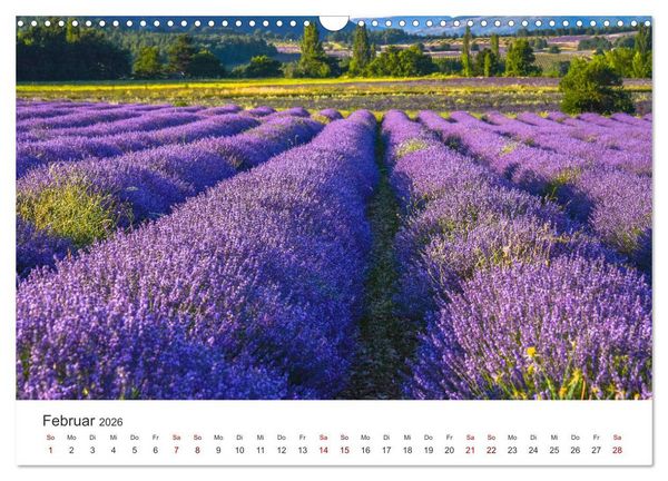 Produktbild: Tr&auml;ume aus Lavendel, Provence in Rosa bis Lila (Wandkalender 2026 DIN A3 quer), CALVENDO Monatskalender