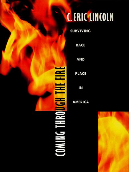 Produktbild: Coming through the Fire