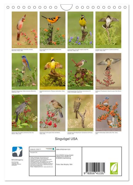 Produktbild: Singv&ouml;gel USA (Wandkalender 2026 DIN A4 hoch), CALVENDO Monatskalender