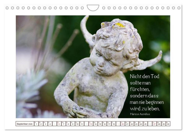 Produktbild: Engel-Kalender mit Zitaten (Wandkalender 2026 DIN A4 quer), CALVENDO Monatskalender