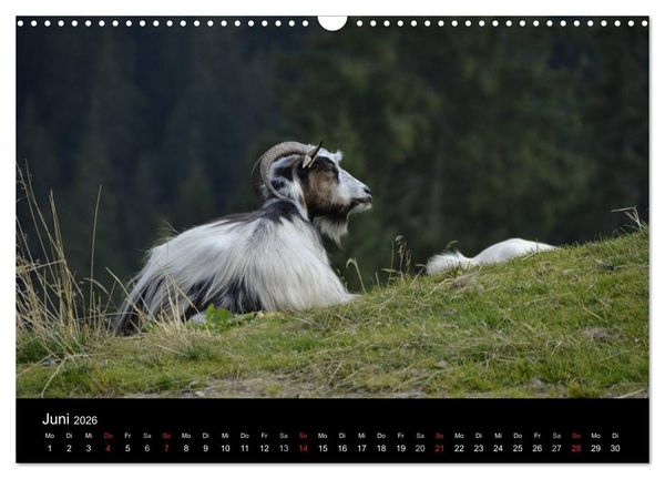 Produktbild: Maramures - Rum&auml;niens zeitloser Norden (Wandkalender 2026 DIN A3 quer), CALVENDO Monatskalender