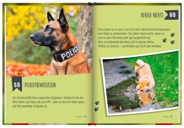 Produktbild: 100 Dinge, die man von einem Hund lernen kann