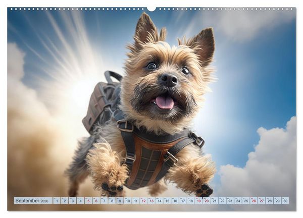Produktbild: Hunde Skydiving (Wandkalender 2026 DIN A2 quer), CALVENDO Monatskalender