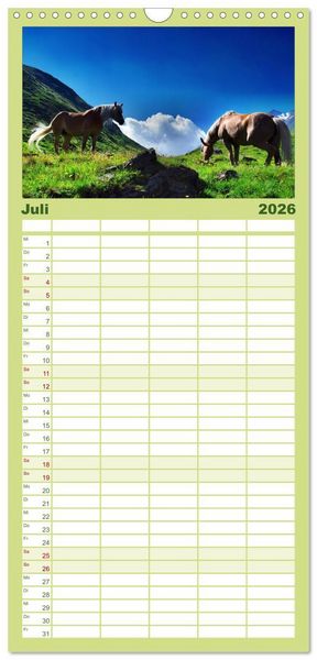 Produktbild: Familienplaner 2026 - Faszination Pferde mit 5 Spalten (Wandkalender, 21 x 45 cm) CALVENDO