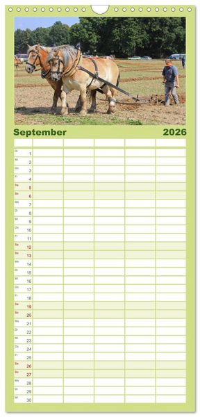 Produktbild: Familienplaner 2026 - Schwere Pferde mit 5 Spalten (Wandkalender, 21 x 45 cm) CALVENDO