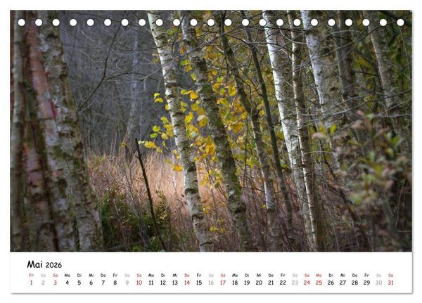 Produktbild: Unterwegs im Teufelsmoor (Tischkalender 2026 DIN A5 quer), CALVENDO Monatskalender