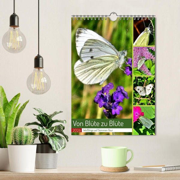 Produktbild: Von Bl&uuml;te zu Bl&uuml;te - Wei&szlig;linge auf Sommer-Tour (Wandkalender 2026 DIN A4 hoch), CALVENDO Monatskalender