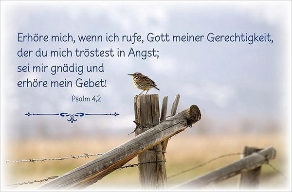 Produktbild: Deine Gebete aus den Psalmen