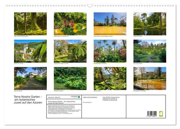 Produktbild: Terra Nostra Garten - ein botanisches Juwel auf den Azoren (Wandkalender 2026 DIN A2 quer), CALVENDO Monatskalender