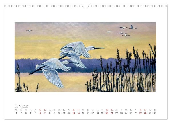 Produktbild: Auf leichten Schwingen - Zugv&ouml;gel (Wandkalender 2026 DIN A3 quer), CALVENDO Monatskalender