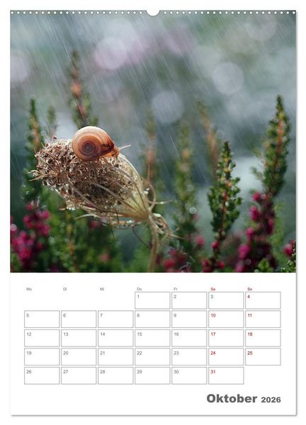 Produktbild: Helden in der Natur (Wandkalender 2026 DIN A2 hoch), CALVENDO Monatskalender