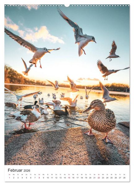 Produktbild: M&uuml;nster - Stadt und Natur (hochwertiger Premium Wandkalender 2026 DIN A2 hoch), Kunstdruck in Hochglanz