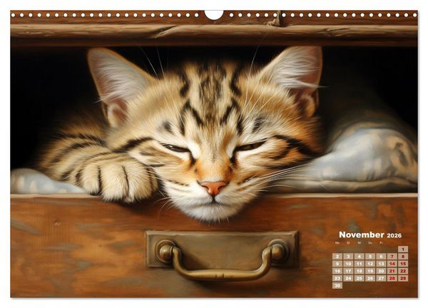 Produktbild: Lieblingsschlafpl&auml;tze (Wandkalender 2026 DIN A3 quer), CALVENDO Monatskalender