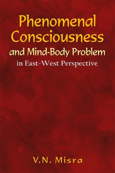 Produktbild: Phenomenal Consciousness and Mind-Body Problem