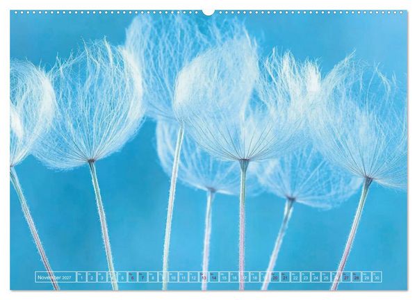 Produktbild: Lichtspiele der Natur (Wandkalender 2027 DIN A2 quer), CALVENDO Monatskalender