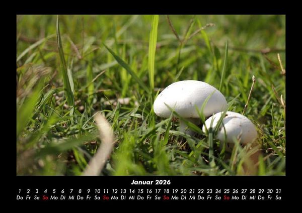 Produktbild: Bilder aus der Natur 2026 Fotokalender DIN A3