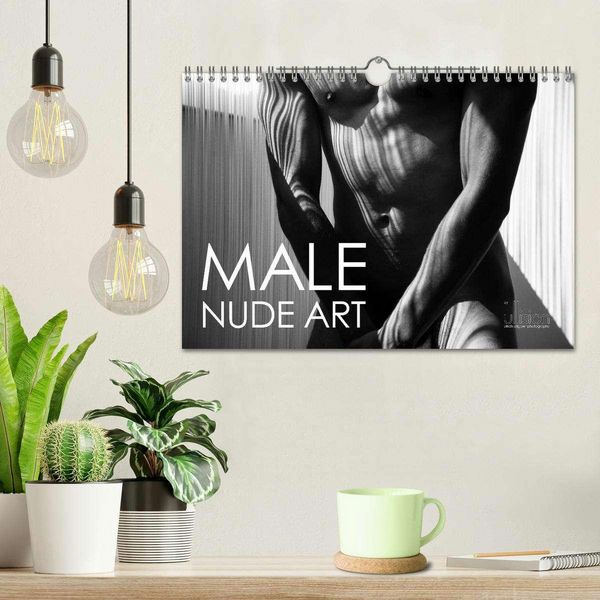 Produktbild: Male Nude Art (Wall Calendar 2026 DIN A4 landscape), CALVENDO 12 Month Wall Calendar