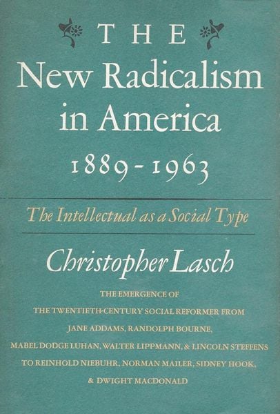 Produktbild: New Radicalism in America