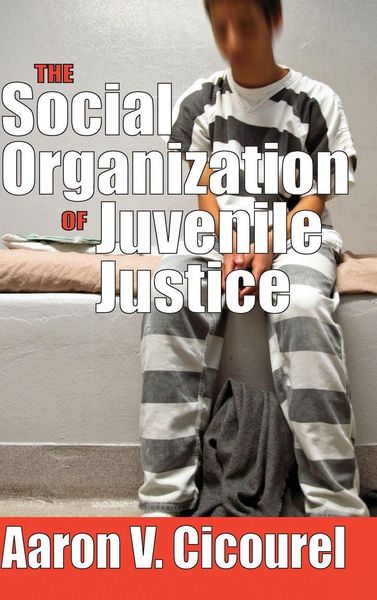 Produktbild: The Social Organization of Juvenile Justice