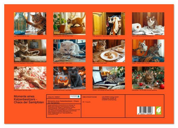 Produktbild: Momente eines Katzenbesitzers - Chaos der Samtpfoten (hochwertiger Premium Wandkalender 2026 DIN A2 quer), Kunstdruck in Hochglanz