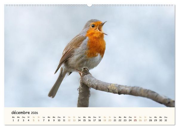 Produktbild: Les voisins du jardin - Une ann&eacute;e de rencontres (Calendrier mural 2026 DIN A2 vertical), CALVENDO calendrier mensuel