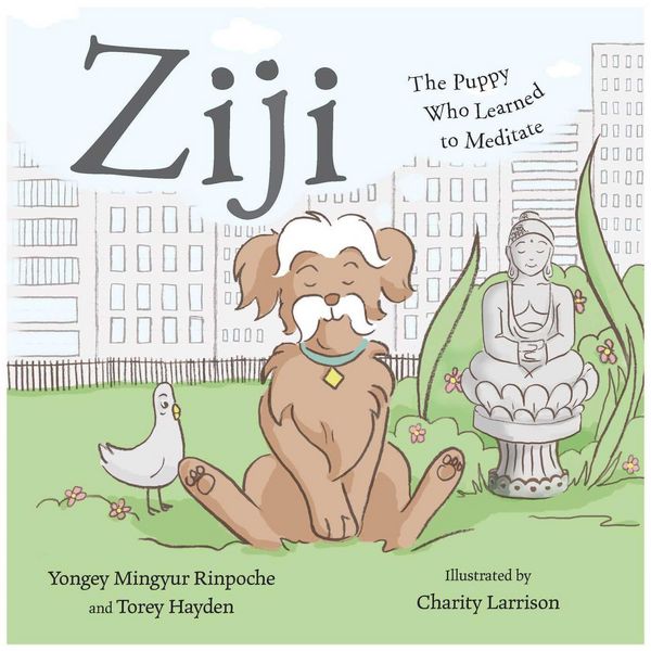 Produktbild: Ziji