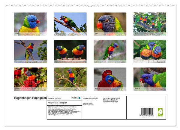 Produktbild: Regenbogen Papageien (hochwertiger Premium Wandkalender 2026 DIN A2 quer), Kunstdruck in Hochglanz