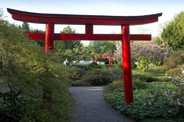 Produktbild: Nippon meets Germany &ndash; Japan in Deutschland entdecken